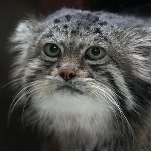 Егор Харьков