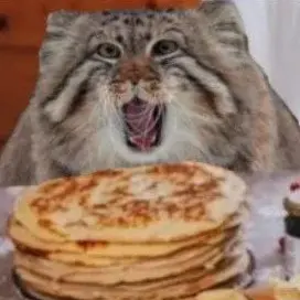 манул важный