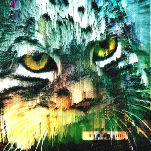 avelyn manul