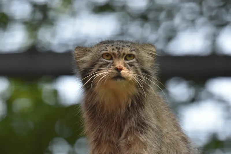 A photograph of Manuel in Gdansk Zoo