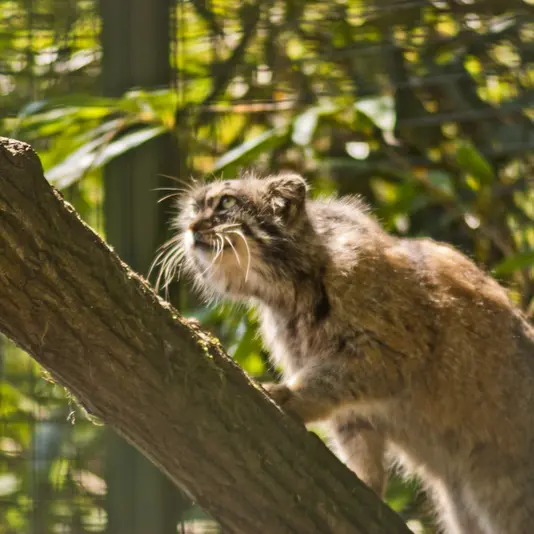 A photograph of Karl-Heinz in Saarbrücken Zoo