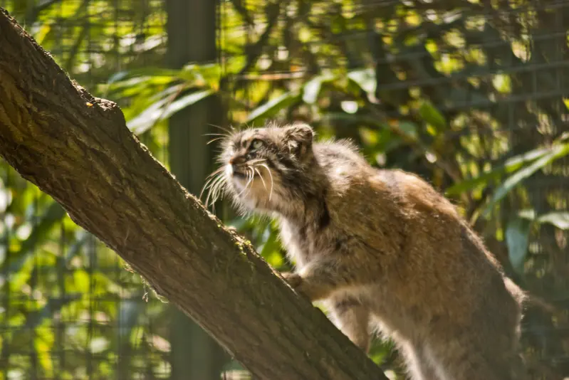 A photograph of Karl-Heinz in Saarbrücken Zoo