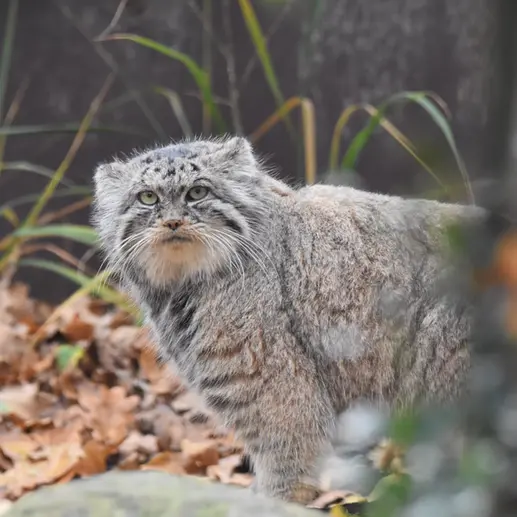 A photograph of Moira in Ostrava Zoo