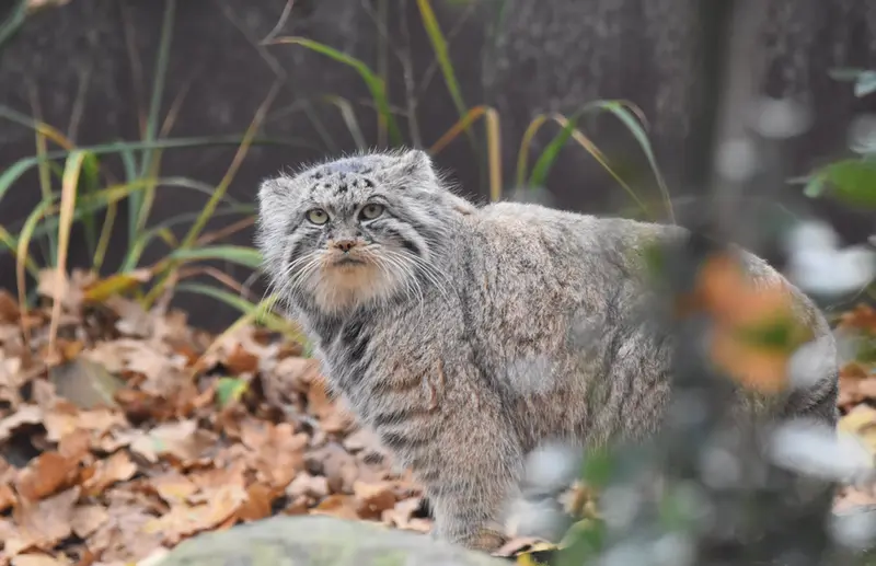 A photograph of Moira in Ostrava Zoo