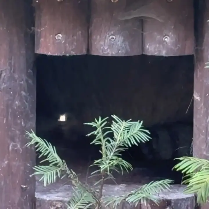 A photograph of Bozenka in Poznan New Zoo