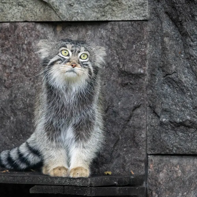 A photograph of Timofey in Moscow zoo