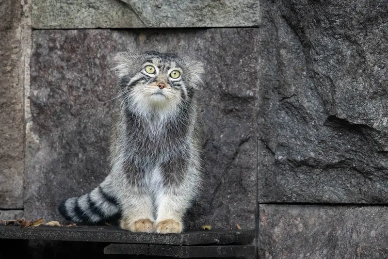 A photograph of Timofey in Moscow zoo
