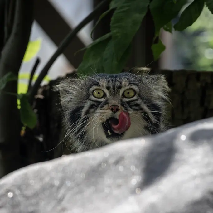A photograph of Timofey in Moscow zoo