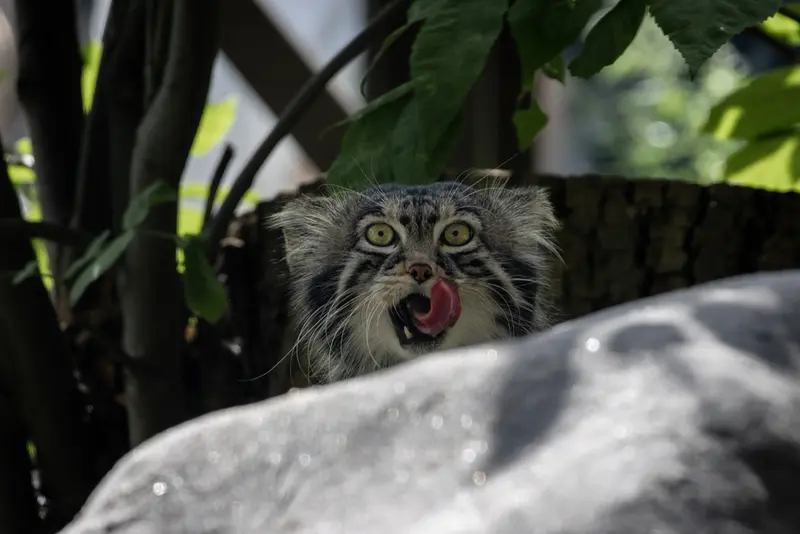 A photograph of Timofey in Moscow zoo