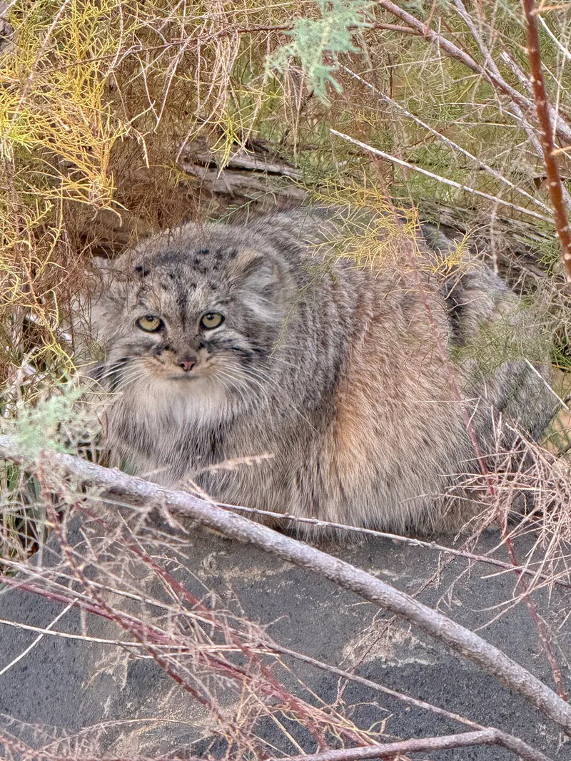A photograph of Prinsessa in Prague Zoo
