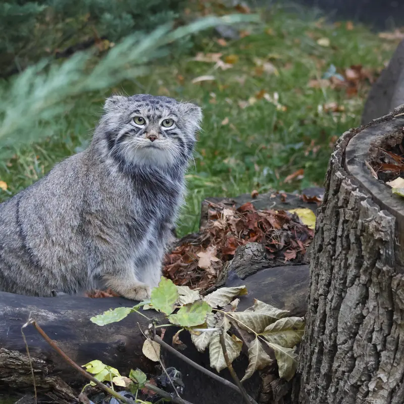 A photograph of Timofey in Moscow zoo