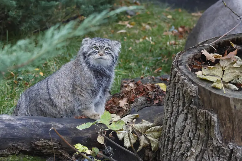 A photograph of Timofey in Moscow zoo