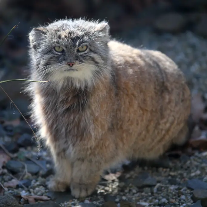 A photograph of Moira in Ostrava Zoo
