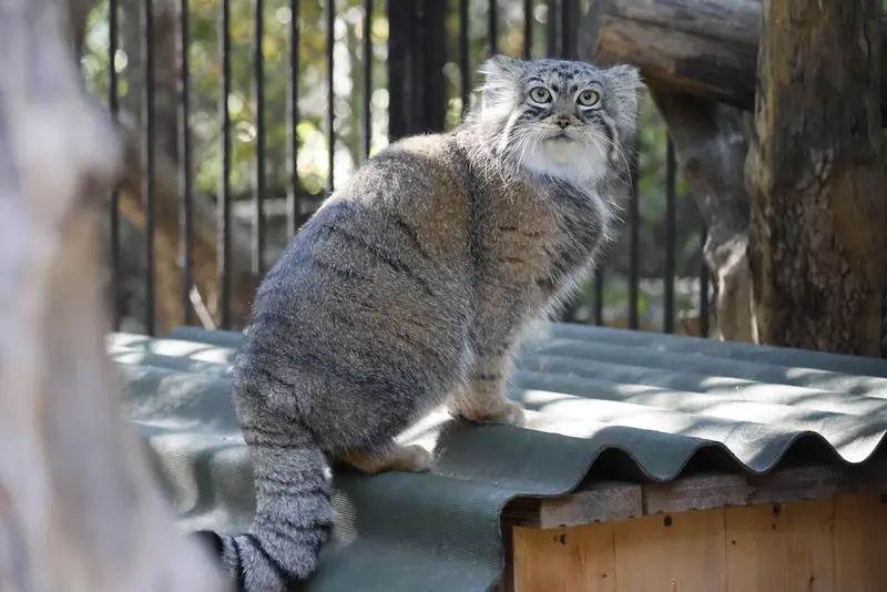 A photograph of Anya in Novosibirsk Zoo