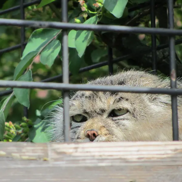 A photograph of Jonathan in Magdeburg Zoo