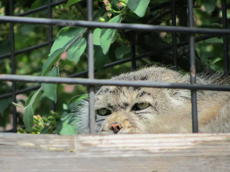 A photograph of Jonathan in Magdeburg Zoo
