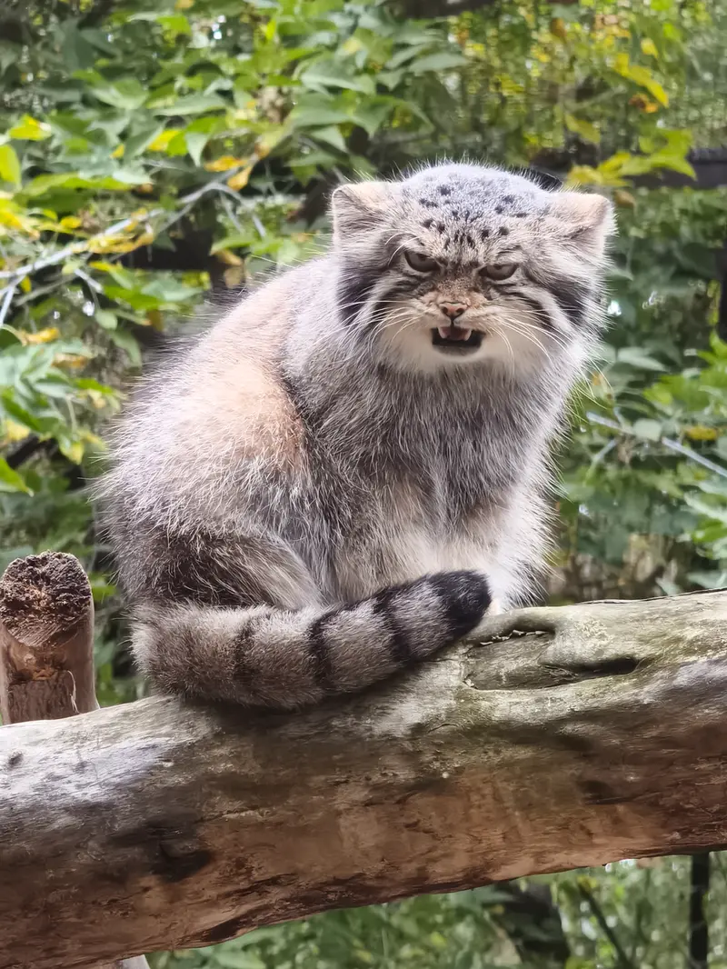 A photograph of Eve in Novosibirsk Zoo