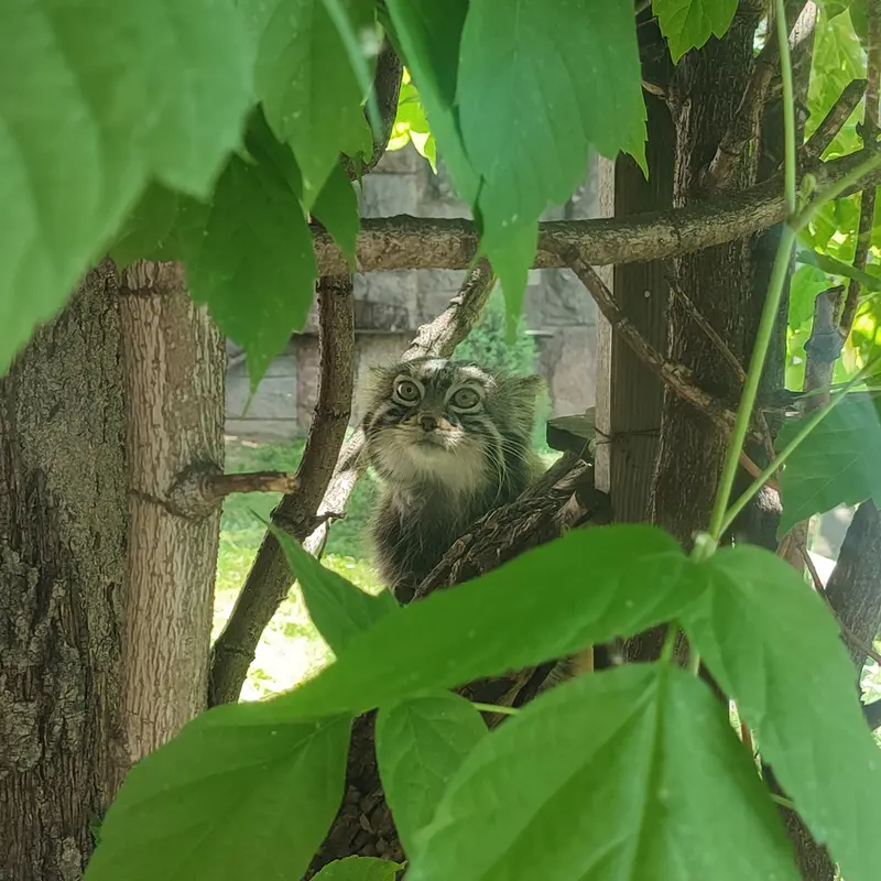 A photograph of Timofey in Moscow zoo