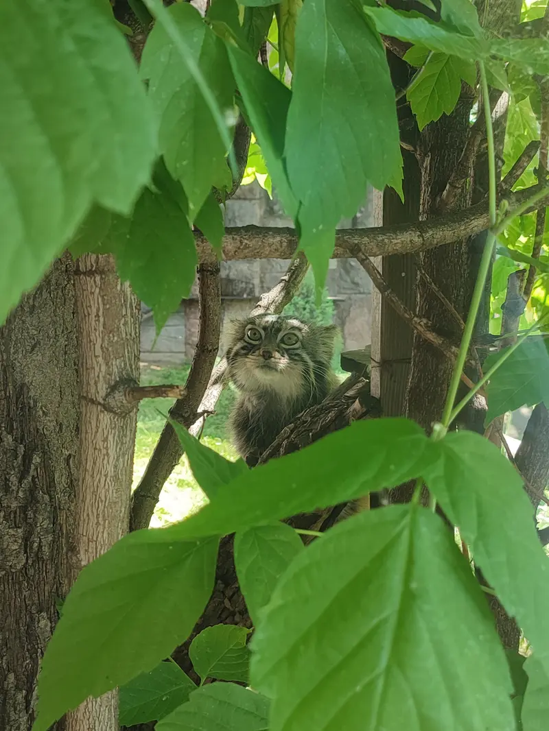 A photograph of Timofey in Moscow zoo