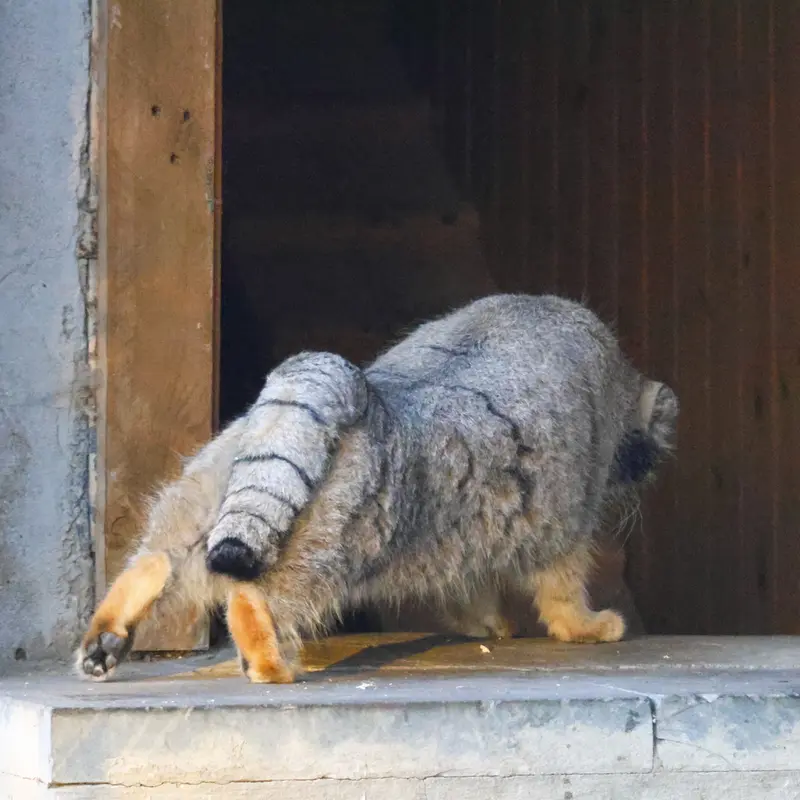 A photograph of Timofey in Moscow zoo
