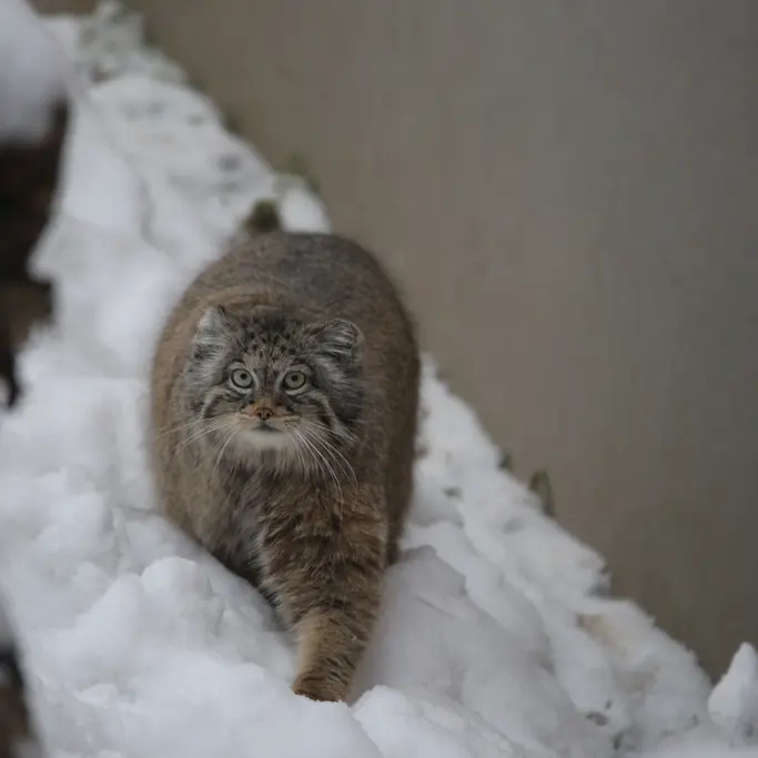 A photograph of Ula in Gdansk Zoo
