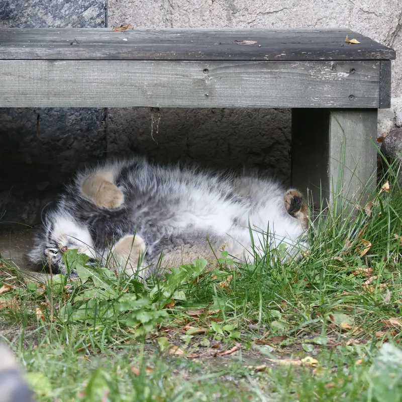 A photograph of Timofey in Moscow zoo
