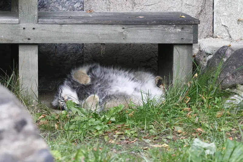 A photograph of Timofey in Moscow zoo