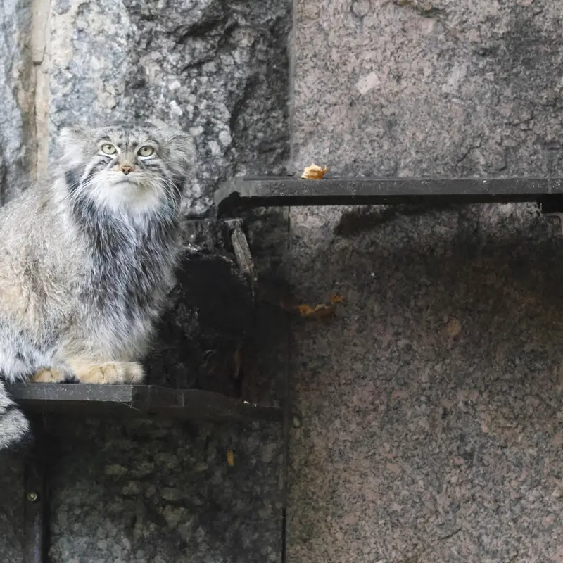 A photograph of Timofey in Moscow zoo
