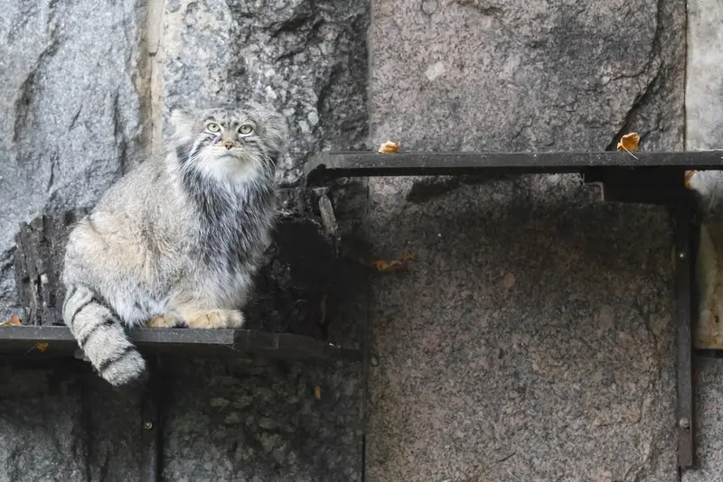 A photograph of Timofey in Moscow zoo