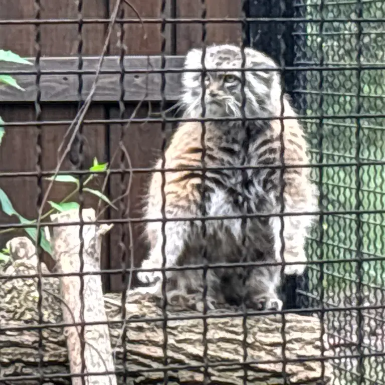 A photograph of Jessie in Warsaw Zoo