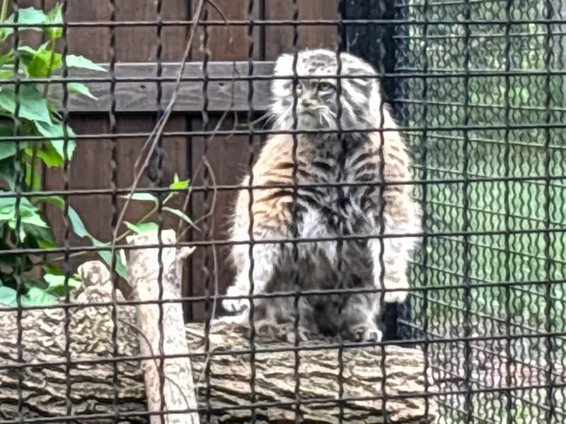 A photograph of Jessie in Warsaw Zoo