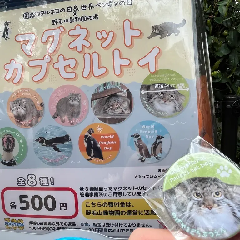 A photograph of Figa in Nogeyama Zoo