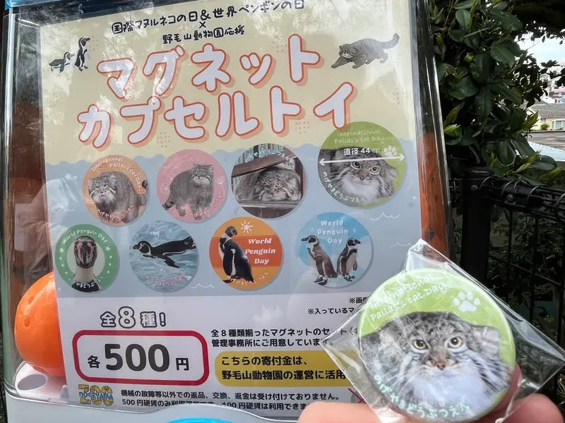 A photograph of Figa in Nogeyama Zoo