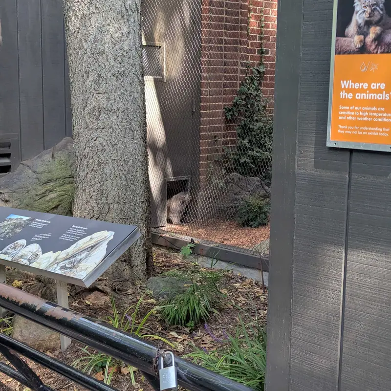 A photograph of Sarnai in Prospect Park Zoo