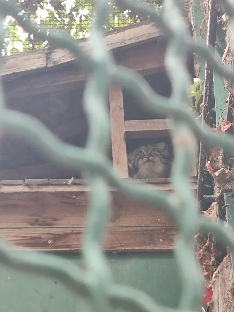 A photograph of Lucy in Budapest Zoo & Botanical Garden
