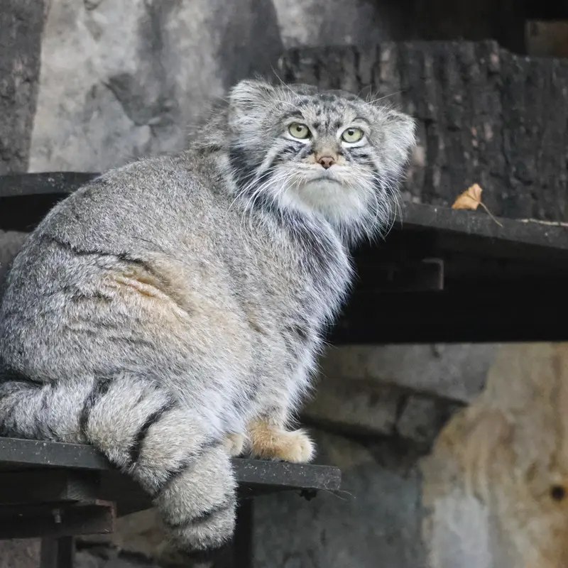 A photograph of Timofey in Moscow zoo