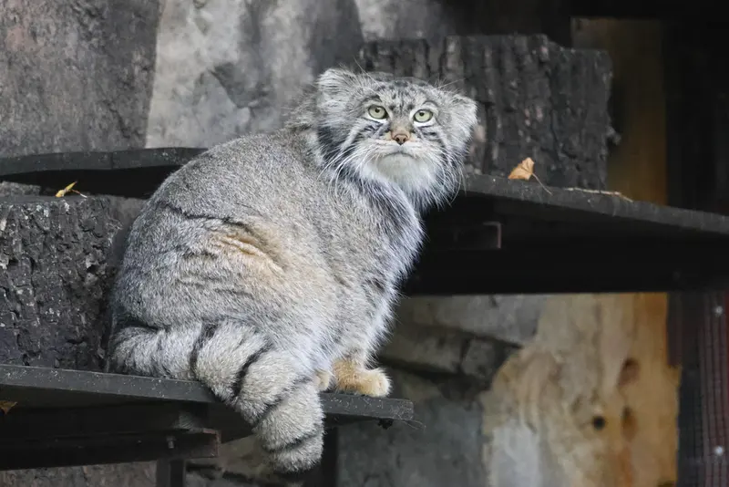 A photograph of Timofey in Moscow zoo