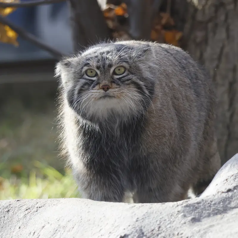 A photograph of Timofey in Moscow zoo
