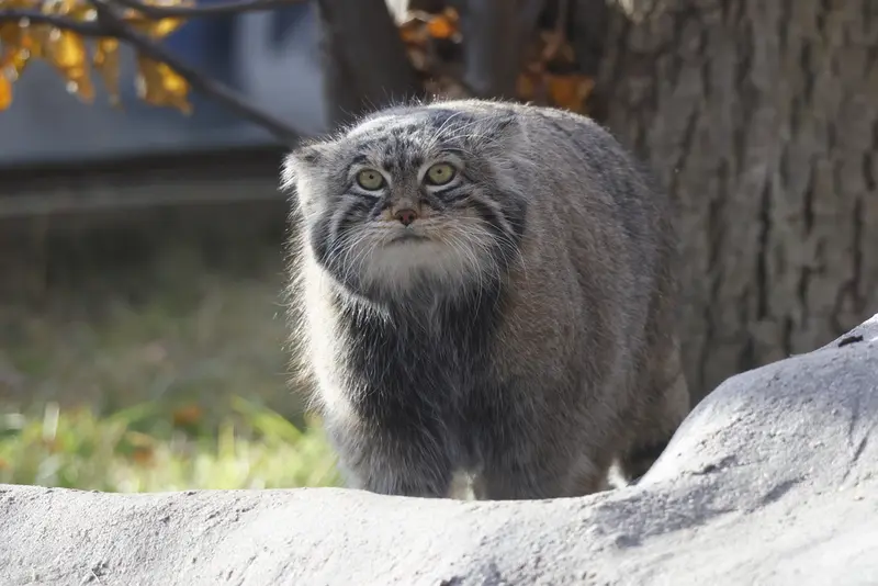 A photograph of Timofey in Moscow zoo