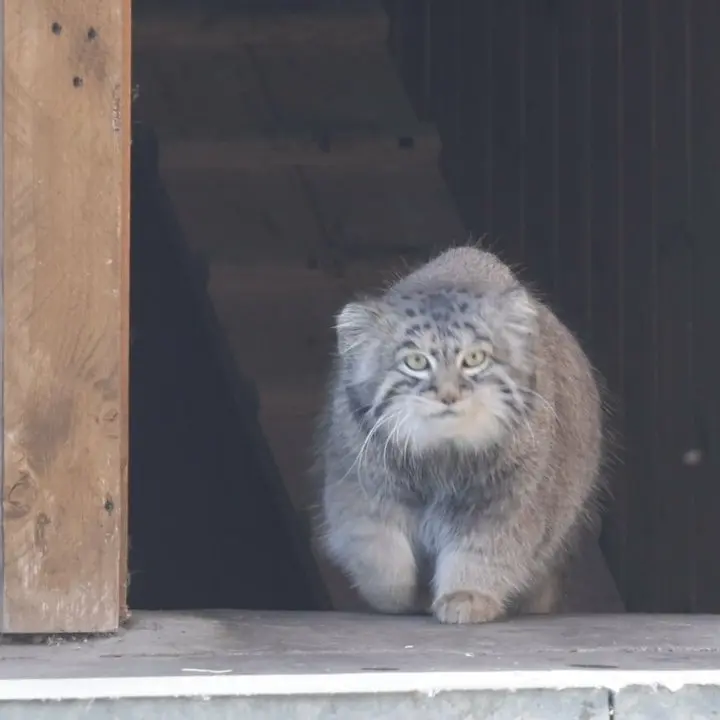 A photograph of Timofey in Moscow zoo