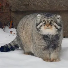 A photograph of Vadim in Moscow zoo