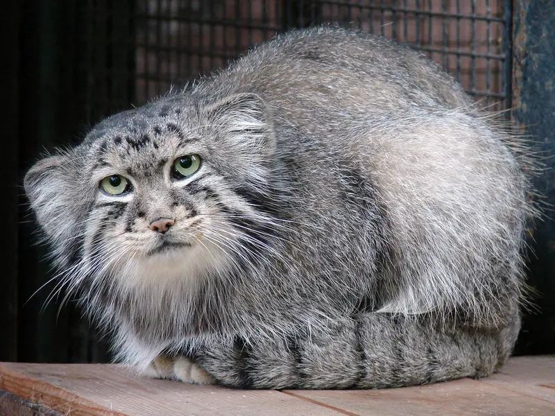 A photograph of Hurst in Riga Zoo