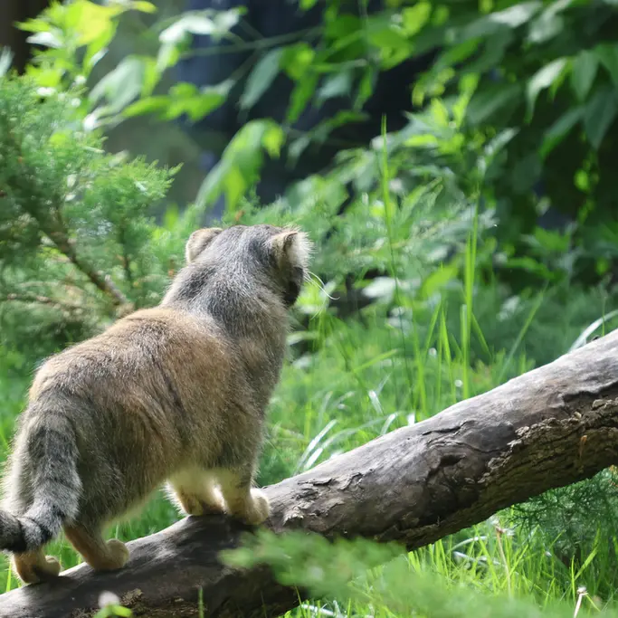 A photograph of Timofey in Moscow zoo