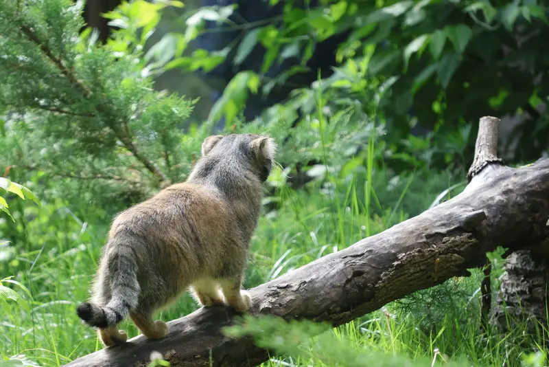A photograph of Timofey in Moscow zoo