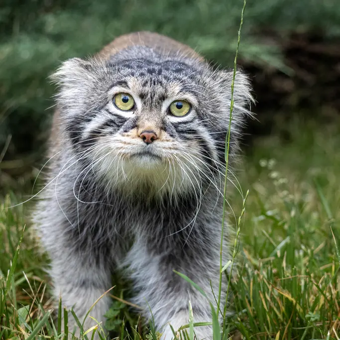 A photograph of Timofey in Moscow zoo