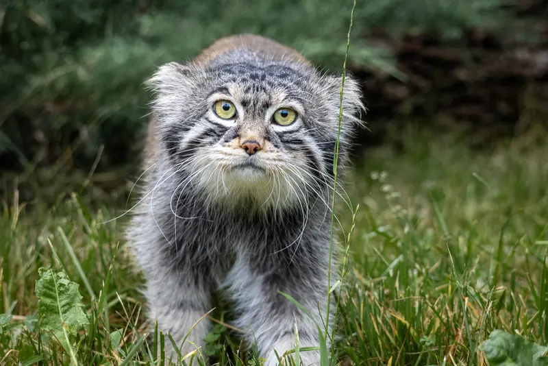 A photograph of Timofey in Moscow zoo