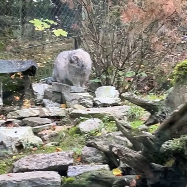 A photograph of Fay and Batu in Opel Zoo