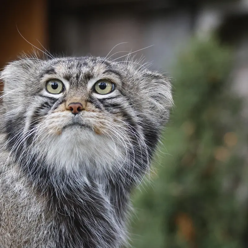 A photograph of Timofey in Moscow zoo