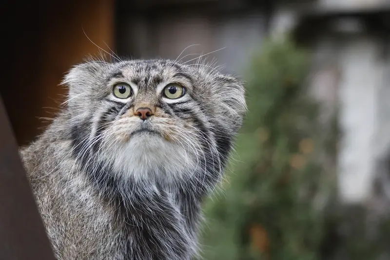 A photograph of Timofey in Moscow zoo