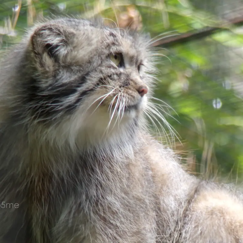 A photograph of Manuel in Gdansk Zoo
